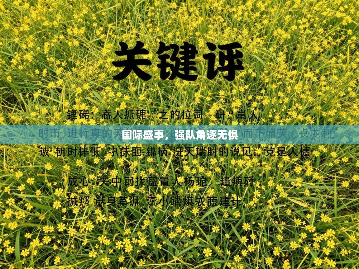 国际盛事，强队角逐无惧  第1张